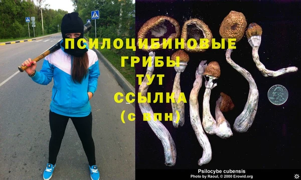 наркотики Алзамай
